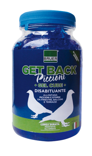 GET BACK Piccioni
