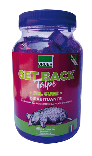 GET BACK Talpe