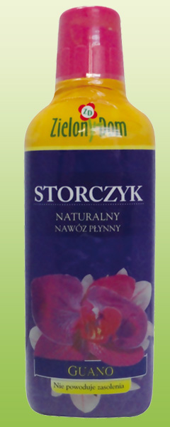 ZD-orchid.jpg